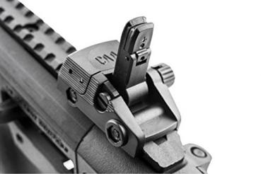 Front and Rear Flip-Up Sights
